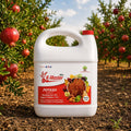 Poshinda K Master | Potash Derived from Rhodophytes