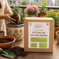 Poshinda Potting Mix - 5Kgs | For Replanting